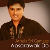 Apsarawak Do, 2013