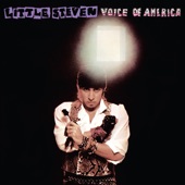 Voice of America (Deluxe Edition) artwork