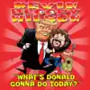 What's Donald Gonna Do Today? - Single album lyrics, reviews, download