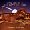 Can You Feel the Love Tonight (Piano & Cello) - Single