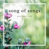 Scripture Soaking - Song of Songs (Instrumental)
