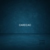 Cardiac - Single