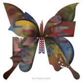 Butterfly Knife artwork
