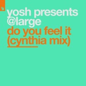 Do You Feel It (Cynthia Mix) artwork