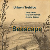Seascape (feat. Tony Sisam, Stephen Bennett & Jeremy Badger) artwork
