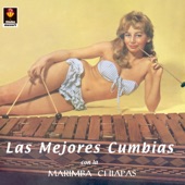 Las Mejores Cumbias artwork