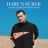 Sanki Çölde Hapsedilmişim artwork