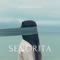 Señorita (Radio Edit) artwork