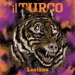 Lontano Song Lyrics