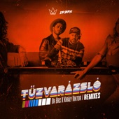 Tűzvarázsló (Remixes) - EP artwork