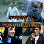 Sveriges favoritturkar artwork