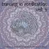 Stream & download Turning in Meditation, Vol. 2