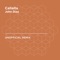Callaita (Bad Bunny & Tainy) - John Diaz lyrics