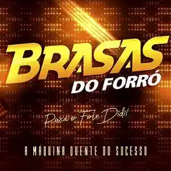 Puxa o Fole Didi! - A Máquina Quente do Sucesso - Brasas do Forró Puxa o Fole Didi! - A Máquina Quente do Sucesso - Brasas do Forró
