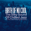 Birth of Nu Cool (The Silky Sound of Chilled Jazz for Your Best Relaxing Moments) - Various Artists