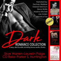 Parker S. Huntington, CD Reiss, Skye Warren & Laurelin Paige - Dark Romance Collection: A Sexy, Dark Bundle (Unabridged) artwork