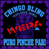 Erick Jaimez - Puro Pinche Wepa Pari