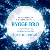 Bygge Bro (Instrumental) artwork