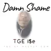 Damn Shame - Single album lyrics, reviews, download