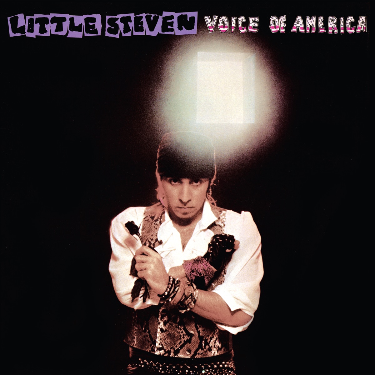 リトル スティーブンの Voice Of America Deluxe Edition をapple Musicで