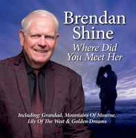 Brendan Shine - Where Did You Meet Her artwork