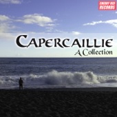 Capercaillie - Coisich a Ruin - Live