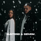 Büntesd a szívem (feat. Binhky) artwork