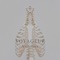 Anatomy - Voyageur lyrics