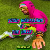 Toxic Wasteland 2: The Hills artwork