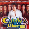 Cumbia Libre & Grupo Limite - Nada Cambiará Mi Amor por Tí