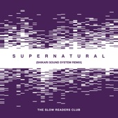 Supernatural (Shikari Sound System Remix) artwork