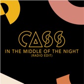 In the Middle of the Night (Radio Edit) artwork