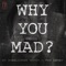 Why You Mad (feat. Ron Deazy) - DJ Wheelchair Mafia lyrics