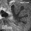 Stream & download Raccoon (Radio Edit)