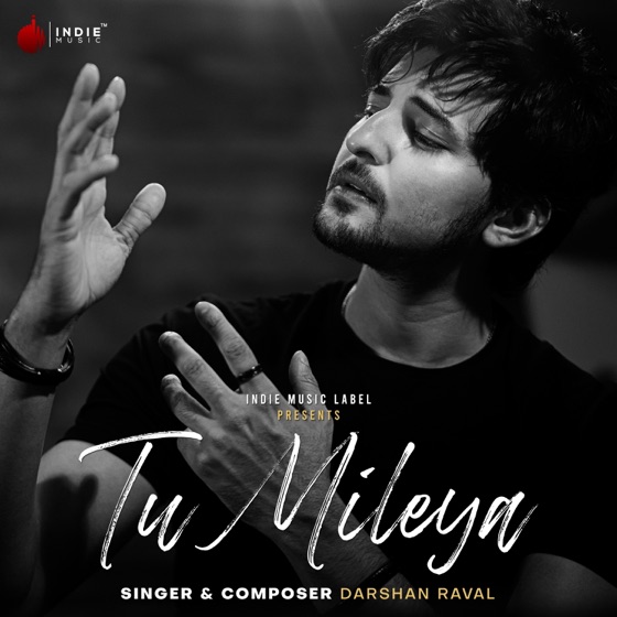 Cover artwork for Tu Mileya