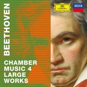 Fugue in B-Flat Minor, BWV 867 (Arr. String Quintet by Beethoven as Hess 38) artwork