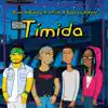 Stream & download Timida (feat. Kairo la Sinfonia, Rubiera & J-Frias) - Single