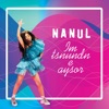 Im Tsnundn e Aysor - Single