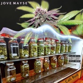 Jove Mayse - Cali Bud