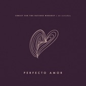 Perfecto Amor artwork