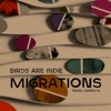 Migrations - Travel Diaries #1