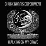 Chuck Norris Experiment - Walking on My Grave (A Tribute to Dead Moon)