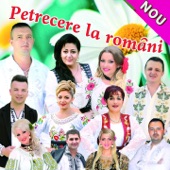 Petrecere La Români artwork