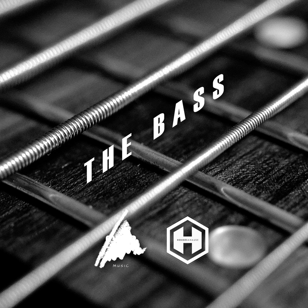 Bass feat