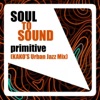 Primitive (Kako's Urban Jazz Mix) - Single