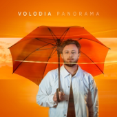 Panorama cover