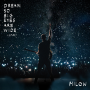 Ayo Technology (Live with Orchestra) - Milow