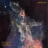 Avalla (feat. Pádraig Rynne, Conor Crimmins, Tara Breen & Elaine Hogan) artwork