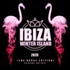 Ibiza Winter Island 2020 (The House Edition)