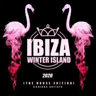 Ibiza Winter Island 2020 (The House Edition) by Various Artists album reviews, ratings, credits